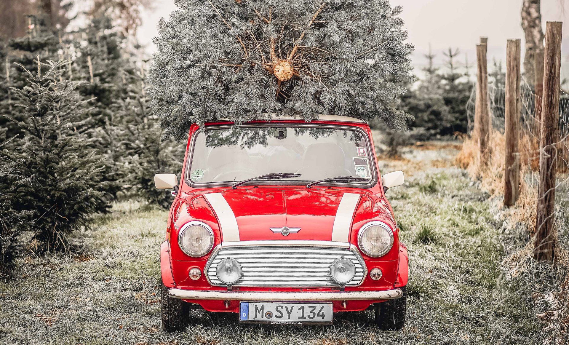 Classic Mini mit Weihnachtsbaum auf dem Dach, Frontansicht