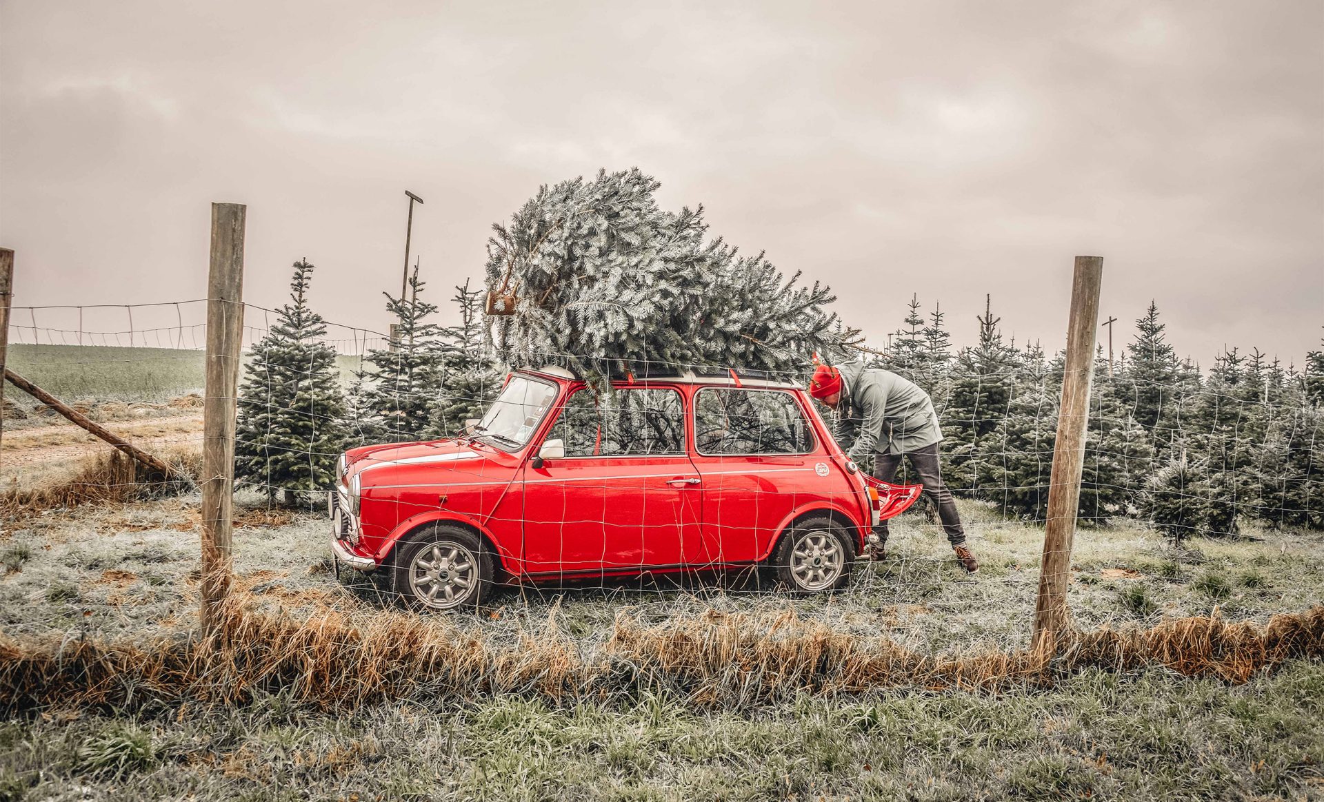 Classic Mini with Christmas tree on the roof, side view
